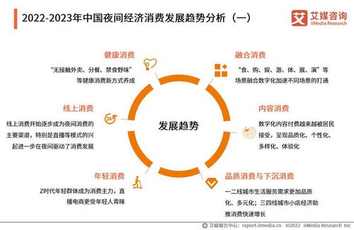 2022-2023年中國夜間經濟行業發展與消費者調研報告